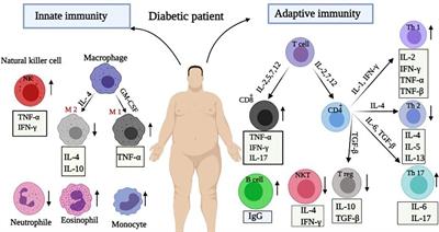 Physiological and Immunological Causes of the Susceptibility of Chronic Inflammatory Patients to COVID-19 Infection: Focus on Diabetes